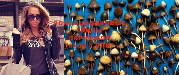 эйфоретик Абдулино
