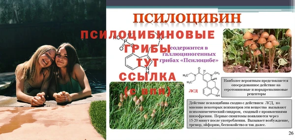 эйфоретик Абдулино