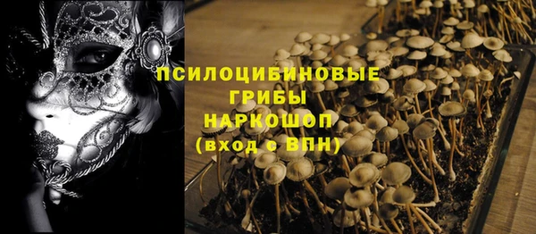 герыч Алексин